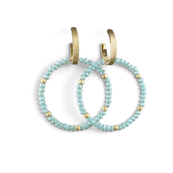 Ari Crystal and Metal Hoops