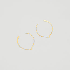 Cole Wire Hoops